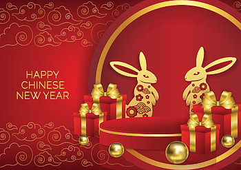Year of the rabbit, holiday, Chinese New Year HD wallpaper