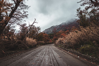 Nature, Trees, Mountains, Bush, Road HD wallpaper
