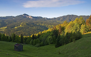 forest mountain, fun, cool, nature, forest, mountain HD wallpaper