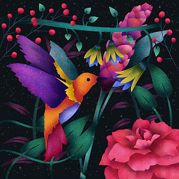 Hummingbird, abstract, colorful, flowers HD phone wallpaper
