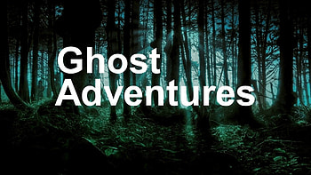 Ghostly forest , Haunted woods, Eerie atmosphere HD wallpaper
