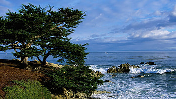 Nature, Water, Trees, Sea, Sun, Break, Precipice, Day HD wallpaper