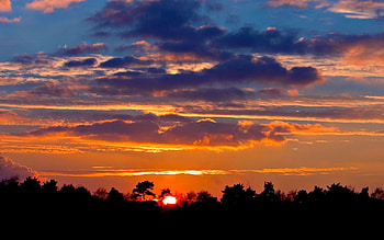 Nature, Trees, Sunset, Sky, Sun, Clouds, Horizon HD wallpaper