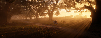 Red Dead Redemption 2 The Path , red-dead-redemption-2, 2020-games, games, xbox-games HD wallpaper