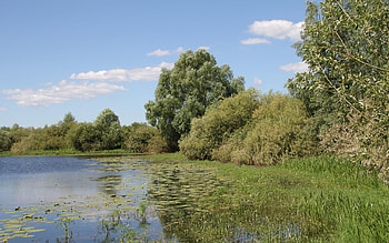 Landscape, Rivers, Trees HD wallpaper