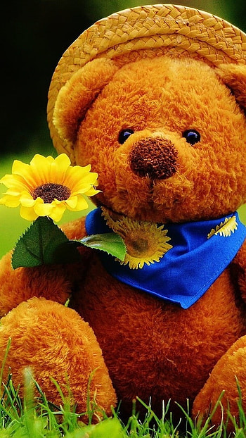 Teddy Bear Ke, Cute, Big Teddy HD phone wallpaper