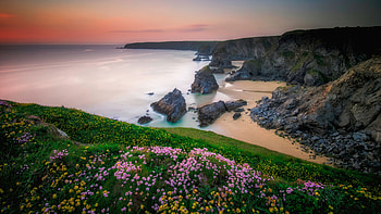 Silhouette, Horizon, Pink, Yellow, Flowers, Green, Leaves, Grass, Fog, Ocean, Water, Rocks, Mountains, Clouds, Sky, Blue Nature HD wallpaper