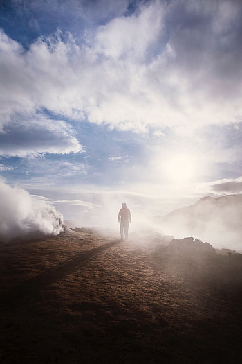 Nature, Clouds, Silhouette, Fog, Lonely, Alone, Sunlight HD phone wallpaper