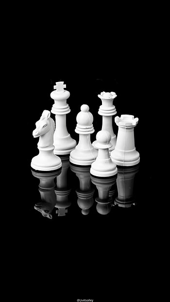 White team chess, gamechess, bishop, kingqueen, knight, whiteteamchess HD phone wallpaper