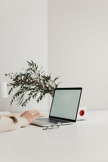 A sleek workspace featuring a laptop, green plant, and modern decor on a white desk. HD phone wallpaper