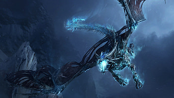 World Of Warcraft Dragons, world-of-warcraft, games, dragon, wings HD wallpaper