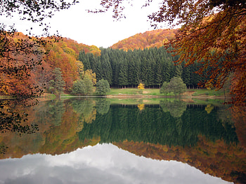 Balkana, fall, forests, lake, republic of srpska, lakes, reflection, autumn, nature, forest HD wallpaper