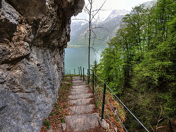 Landscape, Nature, Trees, Rock, Lake, Steps, Descent HD wallpaper