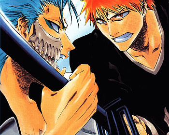 Grimmjow Jaggerjack, Ichigo Kurosaki, Bleach anime, High-resolution HD wallpaper
