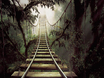 railroad in the forest, 3d and cg, abstract HD wallpaper