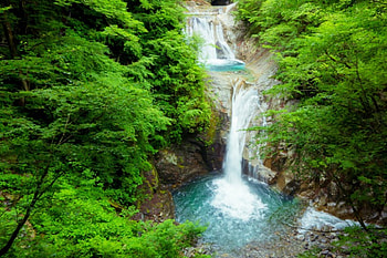 Waterfalls Into The Woods, creek, ponds, green, trees, waterfalls, beautiful, forest HD wallpaper