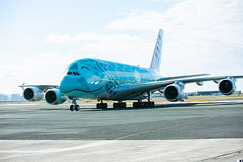 All Nippon Airways, Airline promotions, Travel deals, Flight offers HD wallpaper