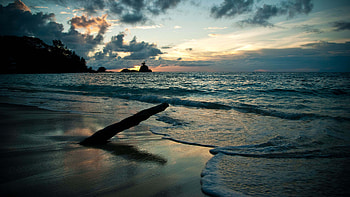 Ocean Waves Trees Beach Sand Under Black Clouds Blue Sky During Sunset Nature HD wallpaper