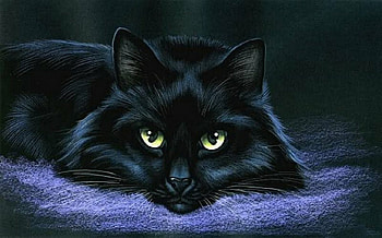 A Black Cat, animal, black, cat, painting HD wallpaper