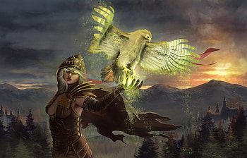 The magic falcon, magic, bird, art, pasare, girl, falcon, fantasy, cloak, luminos HD wallpaper