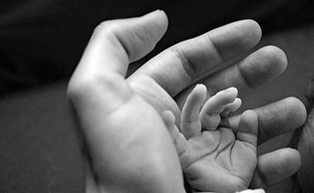 Miscellanea, Miscellaneous, Hands, Care, Tenderness, Child, Adult HD wallpaper