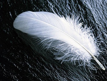 Objects HD wallpaper
