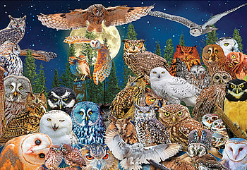 Night Owls, trees, birds, moon, raptors, stars HD wallpaper