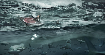 LAST_STAND, others, abstract HD wallpaper