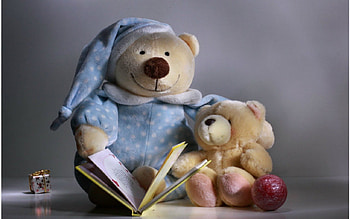 Still life, teddy bear, book, toys HD wallpaper