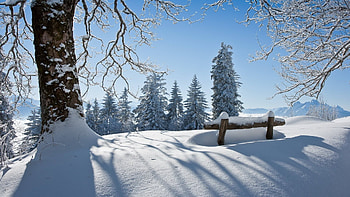 10 Thoughts During My First Real Winter HD wallpaper