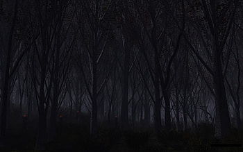 Forest Trees Night Creepy demons creature monsters evil dark . HD wallpaper