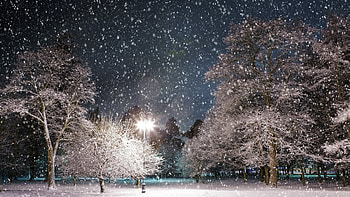 your computer backgrounds with beautiful winter HD wallpaper