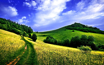 Landscape, Fields HD wallpaper