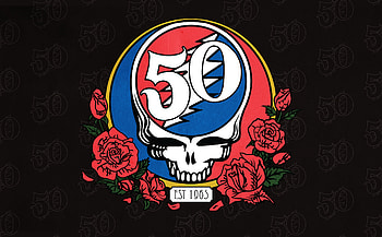 Grateful Dead, Artistic illustration, Grateful Dead logo, Cartoon skull artwork HD wallpaper
