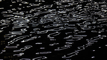 Abstract, Circles, Lines, Form, Wavy, Forms, Line HD wallpaper