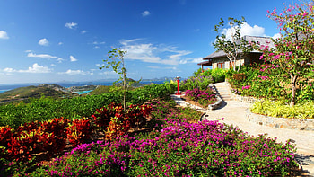 Summer Villa, sea, coast, path, slope, villa, summer, shore, greenery, nature, flowers, water, ocean HD wallpaper