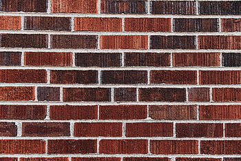 Bricks wall, interior, texture HD wallpaper