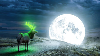 Reindeer Magical Moon, reindeer, moon, artist, artwork, digital-art HD wallpaper