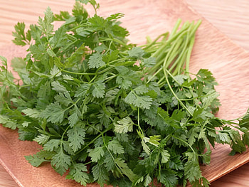 Chervil, Dos and don'ts, Spiceography HD wallpaper
