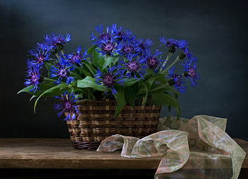 Cornflowers, Shelf, Flowers, Board, Basket HD wallpaper