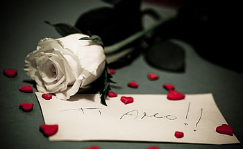Flowers, Hearts, Rose Flower, Rose, Romance, Note HD wallpaper