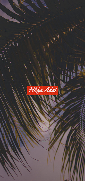 Hafa Adai pt.2, Nature, Guam, Palmtree, Island, Green HD phone wallpaper