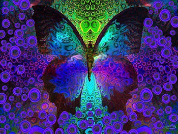 Butterfly Dreams, abstract, butterfly, fantasy, animals HD wallpaper