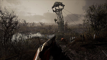 Great Swamps, S.T.A.L.K.E.R. 2 HD wallpaper