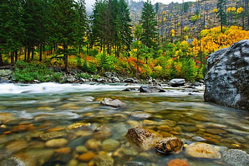 Wenatchee River, trees, autumn, Wenatcheem, River HD wallpaper