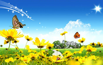 flowers butterflies, butterflies, fun, cool, nature, flowers HD wallpaper