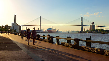Savannah GA, House rentals HD wallpaper