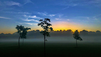 Out and about for a walk at dawn near Toronto, trees, landscape, colors, sky, canada HD wallpaper