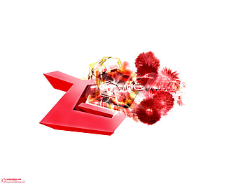 Z Record, red flower alphabets, z in 3d record HD wallpaper