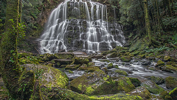 Nelson Falls, Tasmania, trees, cascades, river, rocks HD wallpaper